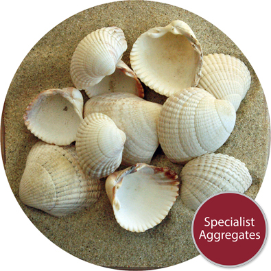 Specialist Aggregates researches the origin of Barra Shell.